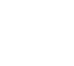 what-we-do-icon